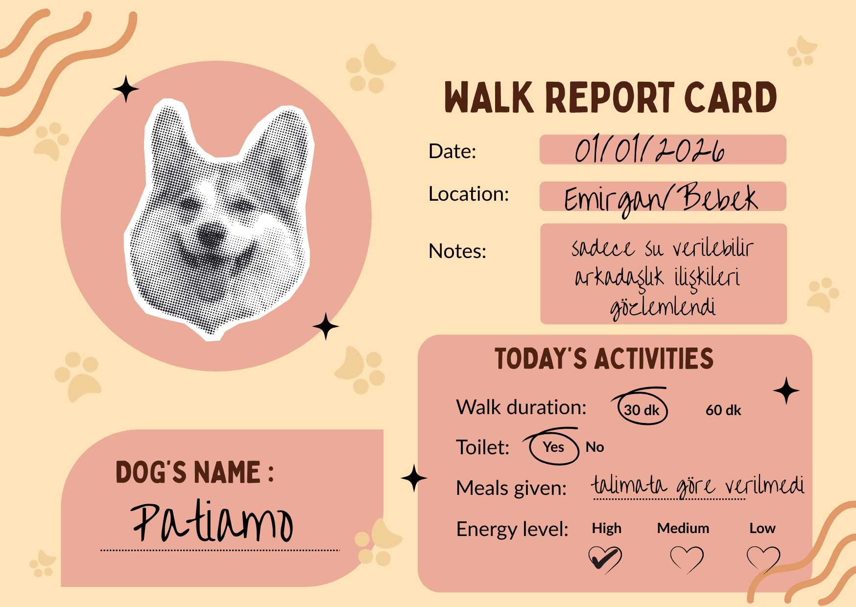 Örnek yürüyüş raporu